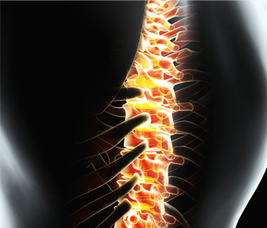 Service Neck